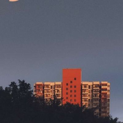 江酒陆夜白